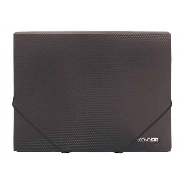 Папка на гумках ECONOMIX (E31601-01)